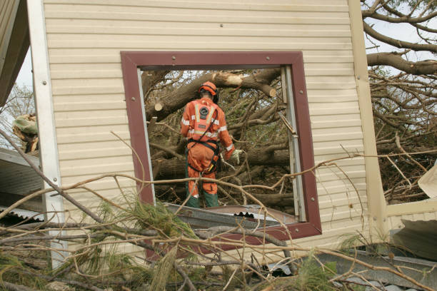 Best Hazardous Tree Removal  in USA